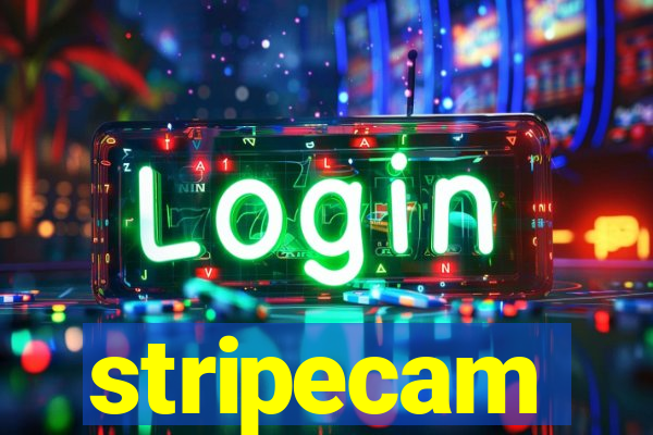 stripecam