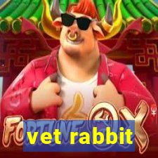 vet rabbit