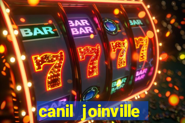 canil joinville vila nova