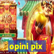 opini pix