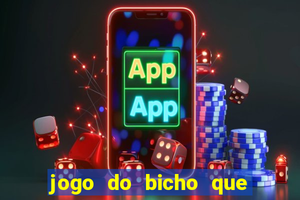 jogo do bicho que paga no pix