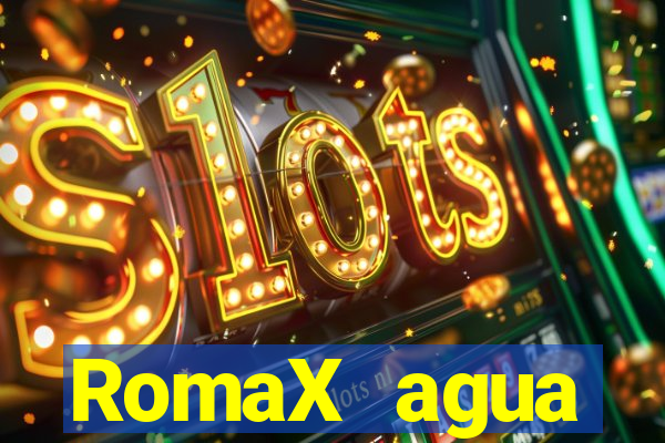 RomaX agua sanitaria fispq agua sanitaria romax