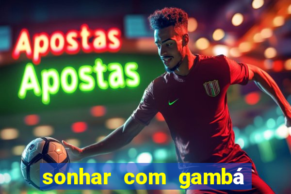 sonhar com gambá jogo do bicho