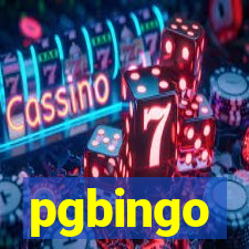 pgbingo